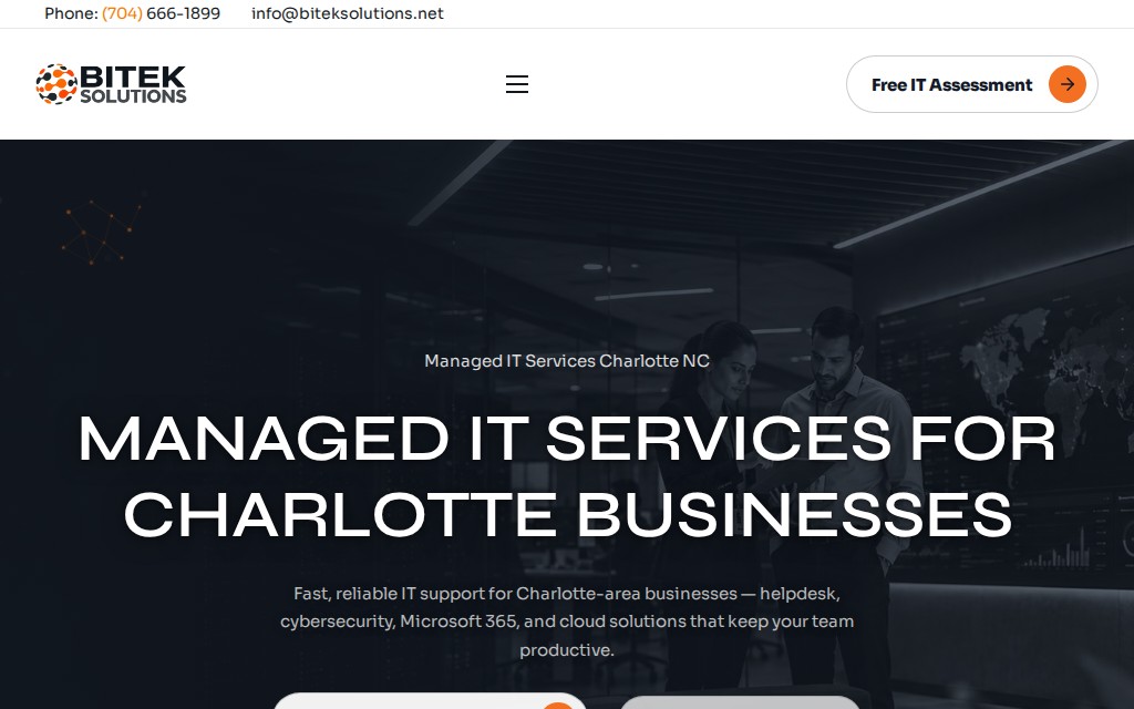 Bitek Solutions website preview