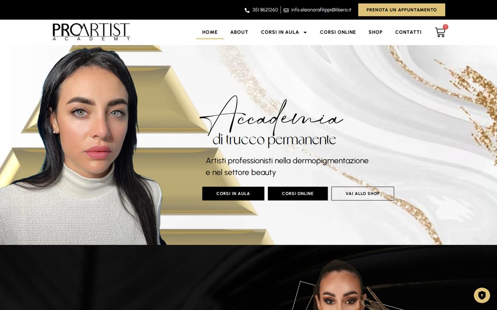 ProArtist Academy